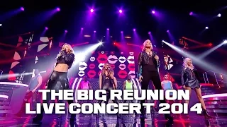 girl thing last one standing the big reunion live concert 2014 