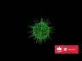 python turtle vibration circle project asmr programming python 2024