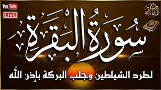 SURAH AL BAQARAH سورة البقرة كاملة القارئ محمد هشام MUHAMMAD HISHAM 