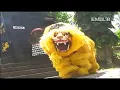 Lagu Macan Caruk Barong | Album Jinggoan Sanggar Seni Lang Lang Buana