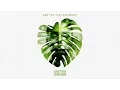 Download Lagu Are You That Somebody