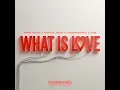 What Is Love (Extended Mix)