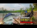 Download Lagu SPOTNYA NILA BABON ‼️ SPOT IDAMAN ANGLER YANG HAUS GLEDUKAN