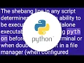 Should I put shebang in Python scripts and what form should it take