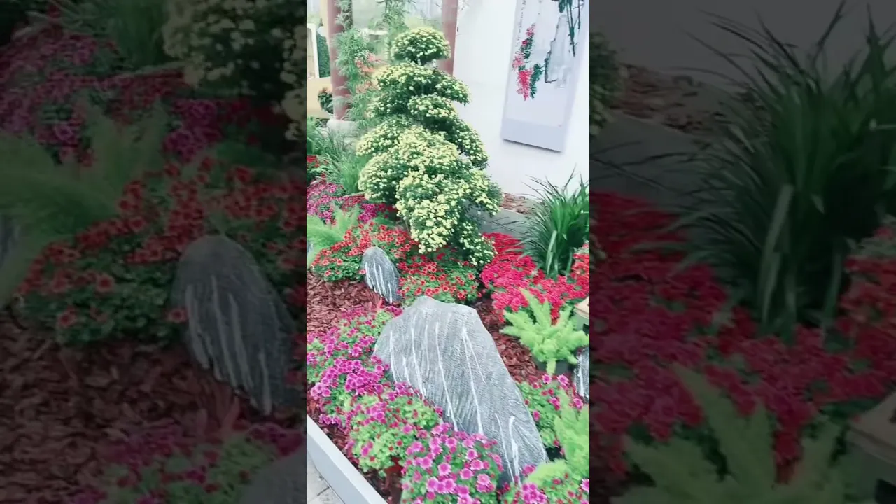مقطع صغير من بث التيك توك