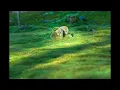 5 hours of calm ancient music #trending #spirituality #manifestation