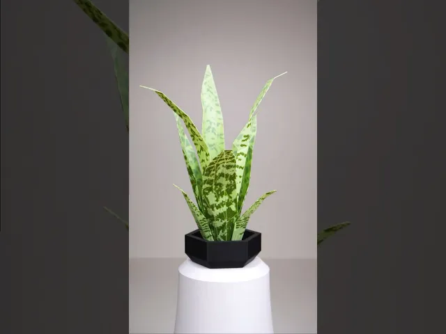 Low Poly Plant - Snake Plant video thumbnail