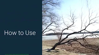 Angular Material Tree Components AngularFire NgRx Reducers Pagedraw io