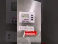 Download Lagu Live pregnancy test using blood serum #laboratory #medtech #PT #pregtest #pregnancy #pregnancytest
