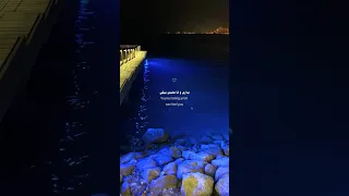 انا عايش في الدنيا عشانك  انا عايش في الدنيا عشانك