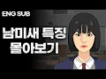 Download Lagu 남미새 특징 몰아보기 l 식빵스쿨 ep 4~ 10
