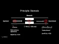 Doppler Ultrasound Part 1 - Principles w focus on Spectral Waveforms
