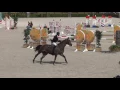 Lagu Germates (Warrant x Goodtimes) 5yo Valkenswaard CSIYH2*