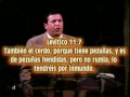 yo no regreso al vomito | Elias Limones