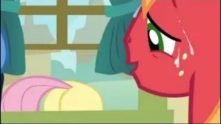MLP: Fluttershy Butt Teasing Big Mac