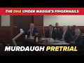 Alex Murdaugh pretrial hearing the fight over DNA evidence