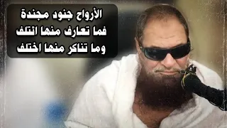 الأرواح جنود مجندة فما تعارف منها ائتلف وما تناكر منها اختلف للشيخ د صالح السحيمي 