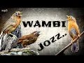 Download Lagu Suara WAMBI Jantan GACOR Jernih Burung Lain Langsung Nyaut MEWAH Untuk MASTERAN