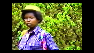 Sirba Warraaqsaa Hawwisoo Caffee Gadaa 