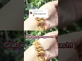 Download Lagu https://vt.tiktok.com/ZSDmkKf4m/
