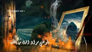 حسين فيصل حبيبة عمري دندنها