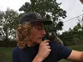 So you think you want a marmoset monkey