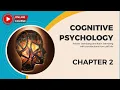 CHAPTER 2 Cognitive Neuroscience