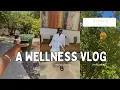 WELLNESS WEEKEND A LUXURY WELLNESS RESORT FACIAL PILATES YOGA MEDITATION MORE MIRAVAL SPA