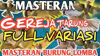 Download 🔴EDAN, MASTERAN GEREJA TARUNG FULL VARIASI. MASTERAN BURUNG LOMBA, KASAR DAN TAJAM. MP3