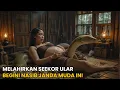 VIRAL! JANDA MUDA MELAHIRKAN SEEKOR ULAR, TERNYATA KARENA MELAKUKAN INI, KISAHNYA BIKIN MERINDING