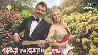  red and yellow roses dj saschai oleksandr levchuk