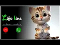New Cute Cat message Ringtone | Message Tone Cute sms Ringtone | Love ringtone | notification tone