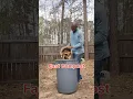 Never Fail at Composting Again - Beginner s Guide