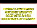 DevOps SysAdmins Multiple websites each with an SSL certificate of its own 3 Solutions