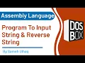 Program to Input String and Reverse string Assembly Language DosBox 8086 Sameh UlHaq