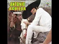 El Campeón