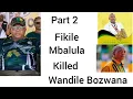Lagu Part 2  Finkile Mbalula ,Supra Mahumapelo and Winston Malusi Molewa killed Mr Wandile Bozwana