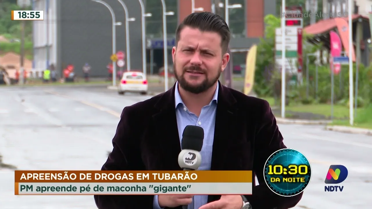 Dois homens foram presos suspeitos de roubarem 19 celulares em show em Chapecó