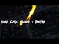 DJ RAMON SP - Montagem - Conga Conga (Slowed + Reverb)