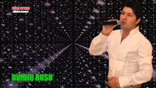 ovidiu rusu eu nebun si tu nebuna zoom studio