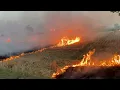 fire3 Yolov8 Custom Fire Detection