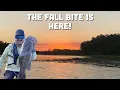 The Fall Bite is FINALLY here on the Great Miami River