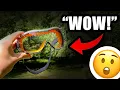 Are These Dewalt DPG82-11 Safety Goggles Worth Buying My Quick Honest Review