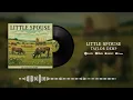 Taylor Demp - Little Spouse Visualizer