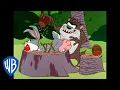 Download Lagu Looney Tunes | Taz's Meal | Classic Cartoon | WB Kids