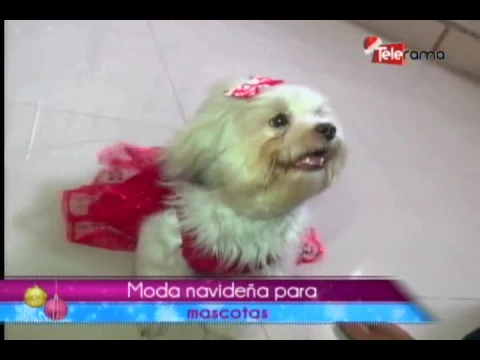 Moda navideña para mascotas