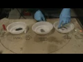 Dragon Breath Shot Gun Shell - Construction