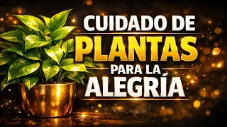 Plantas que atraen alegría y bienestar con cuidados simples y efectivos.