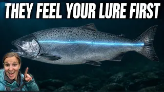 The Science of the Strike Why Salmon Hunt And How to Catch Them