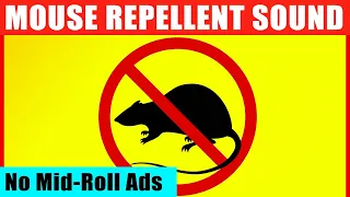 Mouse & Rat Ultrasonic Deterrent 🔴 12 Hours of Anti-Rat Repellent Sounds (Guaranteed to Scare Mice)